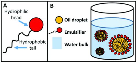 Schematic Structure Of Surfactants A And Oil In Water Emulsion Based