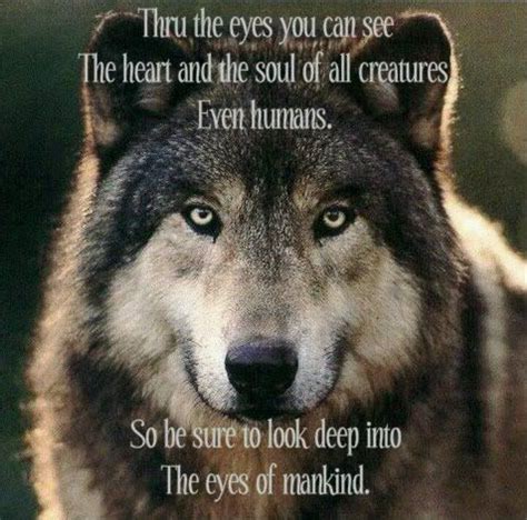 Alpha Female Wolf Quotes - ShortQuotes.cc