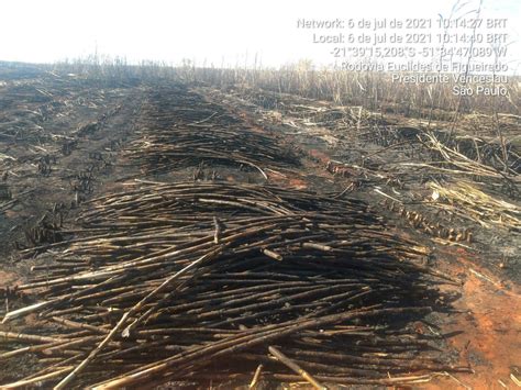 Pol Cia Ambiental Constata Queimada Irregular Em Mais De Hectares