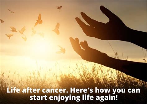 Life After Cancer Moveon Counselling