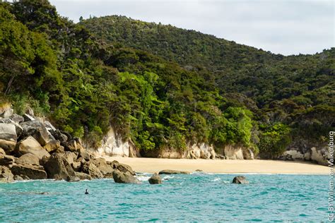 8 Best Beaches in the South Island New Zealand