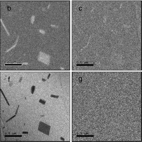 Bright Field And Corresponding Energy Filtered Tem Images Of The