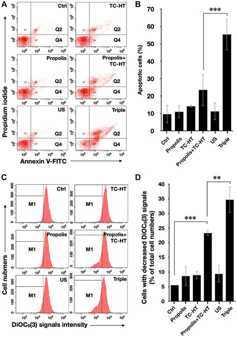 Study On The Effect Of A Triple Cancer Treatment Of Propolis Thermal