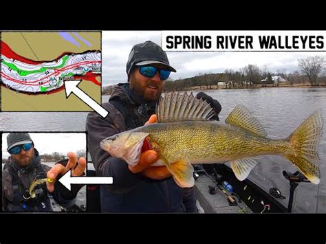 Catching TONS Of Spring Walleyes In SHALLOW River YouTube