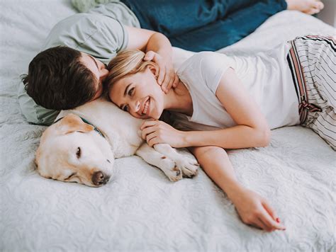 Dürfen Hunde beim Sex zusehen mera The Petfood Family