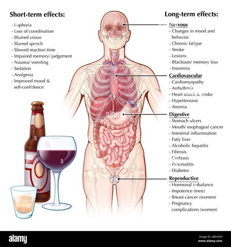 The Effects Of Alcohol Consumption Hi Res Stock Photography And Images