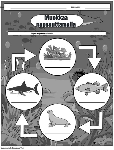 Ocean Food Chain Worksheet Design B&W Storyboard