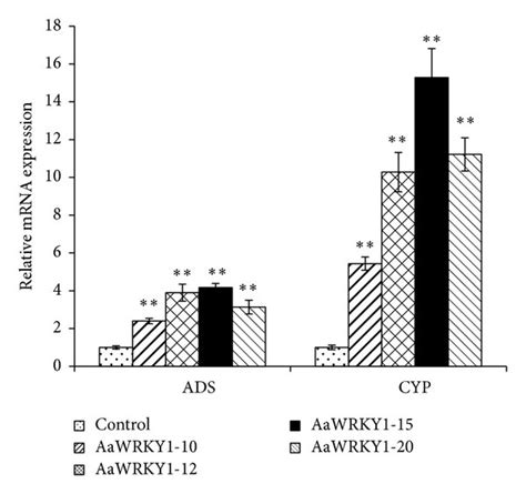 Expression Analysis Of Wrky And Enzymes In Artemisinin Biosynthetic