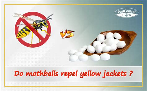 Do Mothballs Repel Yellow Jackets