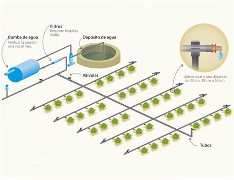 Gu A De Dise O E Instalaci N De Sistemas De Riego Autom Tico Incluye