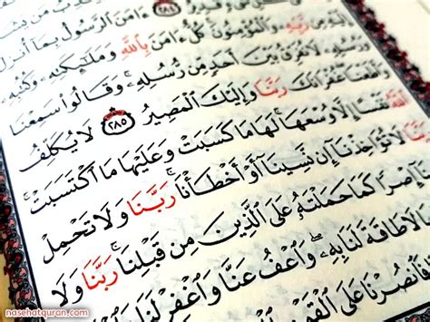 Keutamaan 3 Ayat Terakhir Surat Al Baqarah Akurat