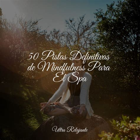 50 Pistas Definitivas De Mindfulness Para El Spa Album By Sonidos De