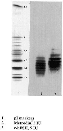 Recombinant Human Follicle Stimulating Hormone R Hfsh 5 Iu And