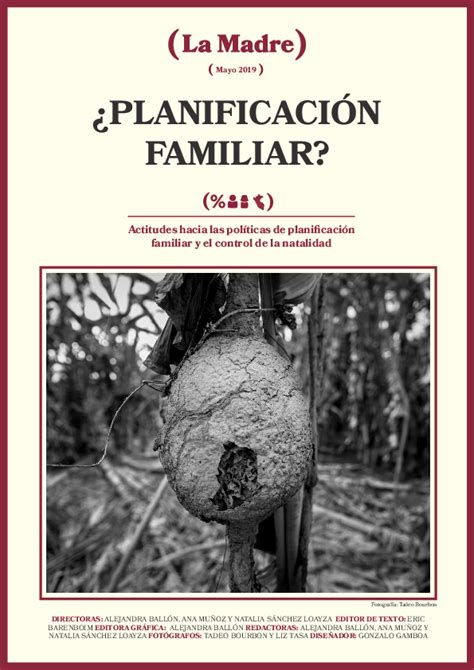 Pdf ¿planificación Familiar Actitudes Hacia Las Políticas De Población Familiar Y El Control