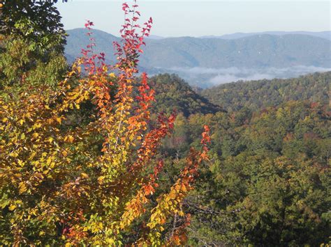 East Tennessee in the fall | Favorite places, East tennessee, Natural ...