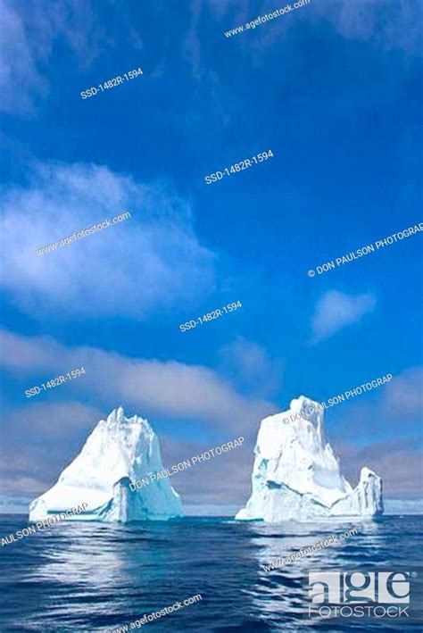 Icebergs in the sea, Scotia Sea, Stock Photo, Picture And Royalty Free ...