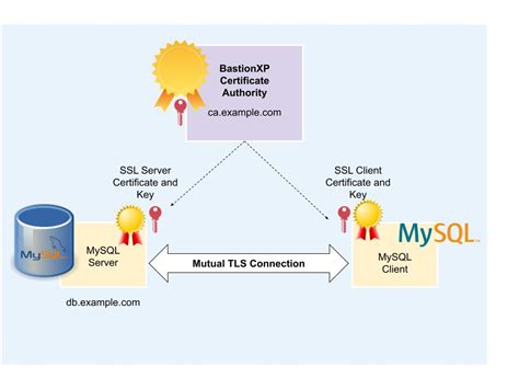 Mutual Tls Authentication Everything You Need To Know