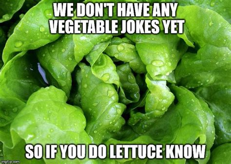 Vegetable Puns Punpedia