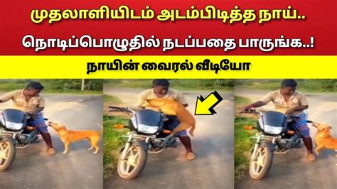 முதலாளியிடம் அடம்பிடித்த நாய் கடைசியில் நடப்பதை பாருங்க Youtube