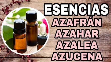 Esencias Azafr N Azahar Azalea Azucena Diccionario Esoterico