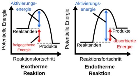 Endotherme Und Exotherme Reaktionen Labster Theory