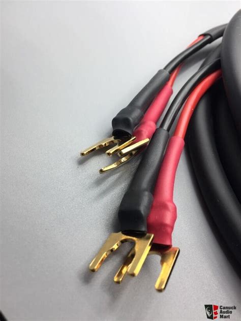 Gotham Audio Speaker Cable Pair Meter Naked Spade Photo