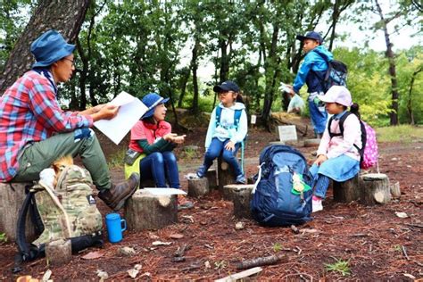 森のようちえんが育む、子どもたちの主体性。「自然と手をつなぐ」新しい保育のかたちとは 手ぶら登園 保育コラム