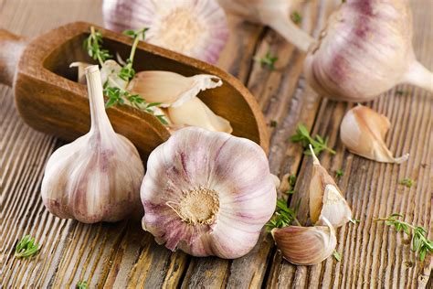 Ranking the best garlic supplements of 2021