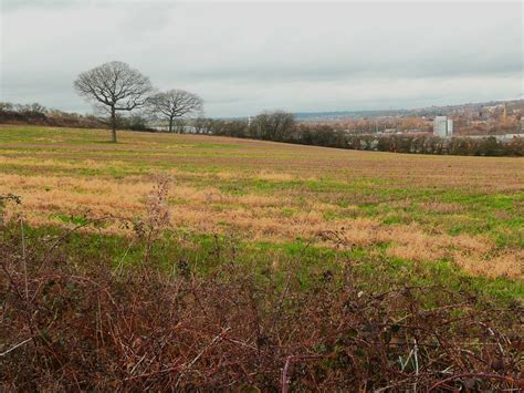 Fallow Field With Trees Thornhill Lees © Humphrey Bolton Cc By Sa20