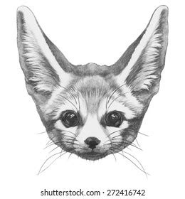 Original Drawing Fennec Fox Isolated On: ilustrações stock 272416742 ...