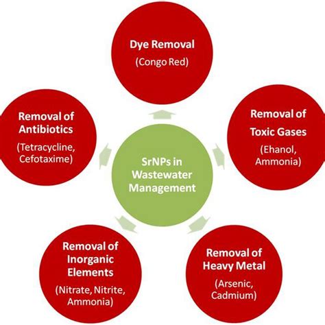 Mechanism of bone formation by Strontium ranelate | Download Scientific ...