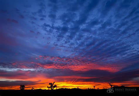 Sunrise Sunset