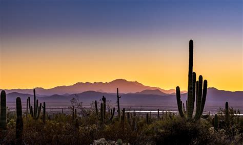 15 Best Things To Do In Tucson Arizona Day Trips Desert Hills Tucson