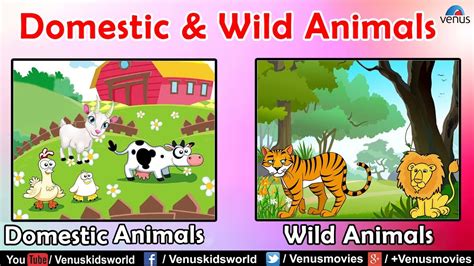 Domestic And Wild Animals / Wild Animals Educational Chart: 9788131938850: Amazon.com ...