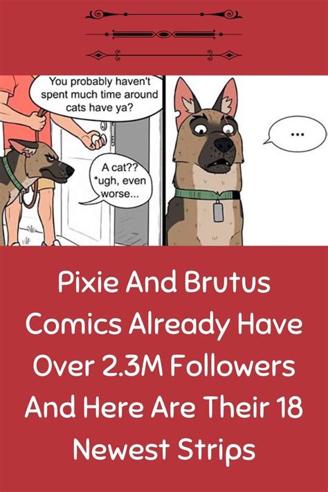 Pixie And Brutus Comics Already Have Over M Followers And Here Are