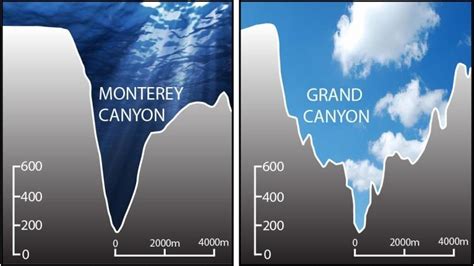 23 from the Monterey Bay Aquarium Research Institute (MBARI) compares ...