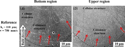 Sem Micrographs Show Microstructures In The A Bottom And B Upper Download Scientific