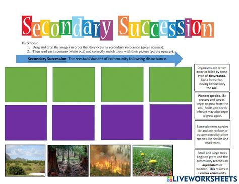 Secondary Succession Online Exercise For Live Worksheets