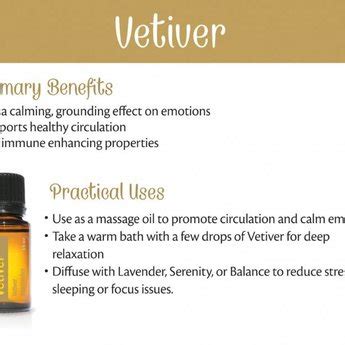 Vetiver Essential Oil Bliz Wellness