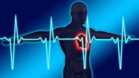 Valvular Heart Disease Causes Symptoms Diagnosis And Treatment