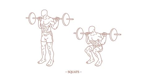 Squats Illustration Michael Loehr