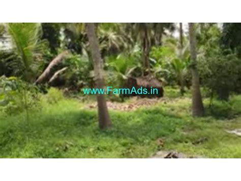 Cents Agriculture Land For Sale In Edaikazhinadu Chengalpattu