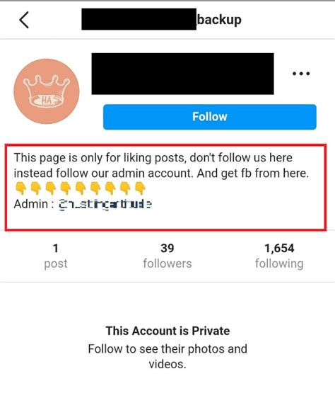 Desmascarando Falsos Perfis Como Rastrear Contas Falsas No Instagram