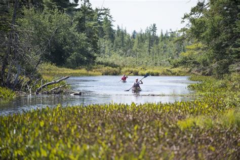 5 Beginner-Friendly Canoe (or Kayak) Camping Trips