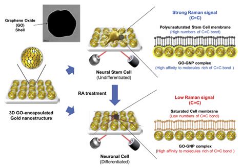 2008 Present Kblee Group Institute For Nanobiomedical Research