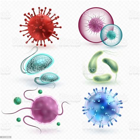 Virus Mikroskopis 3d Realistis Dan Bakteri Terisolasi Vektor Set Ilustrasi Stok Unduh Gambar