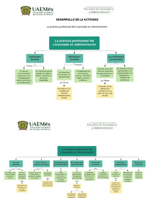 Práctica Profesional Del Licenciado En Administración Pdf