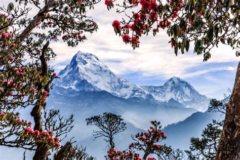 340+ Mountain Village Nepal Stock Photos, Pictures & Royalty-Free ...