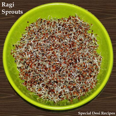 Ragi Sprouts Salad Recipe How To Make Sprouts Specialdesirecipes