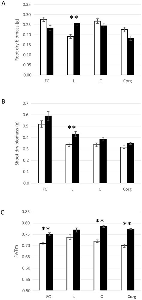 Roots A Shoot B Dry Biomass And Photosynthesis Efficiency C